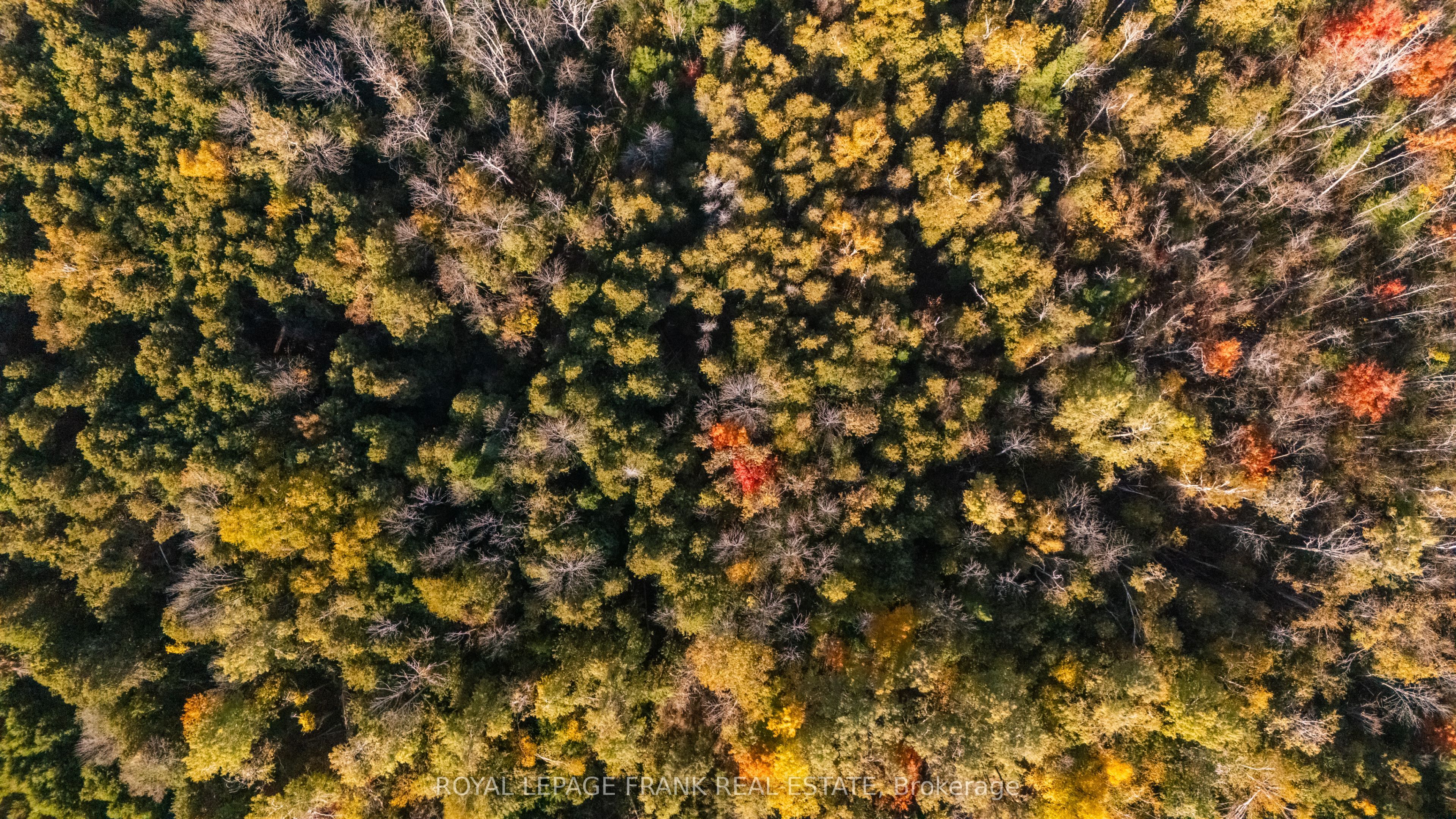 Additional image 6 of 740 Mount Horeb Road, Kawartha Lakes, ON, K0L 2X0