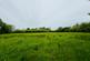 Additional image 45 of Llangeitho, Tregaron, SY25