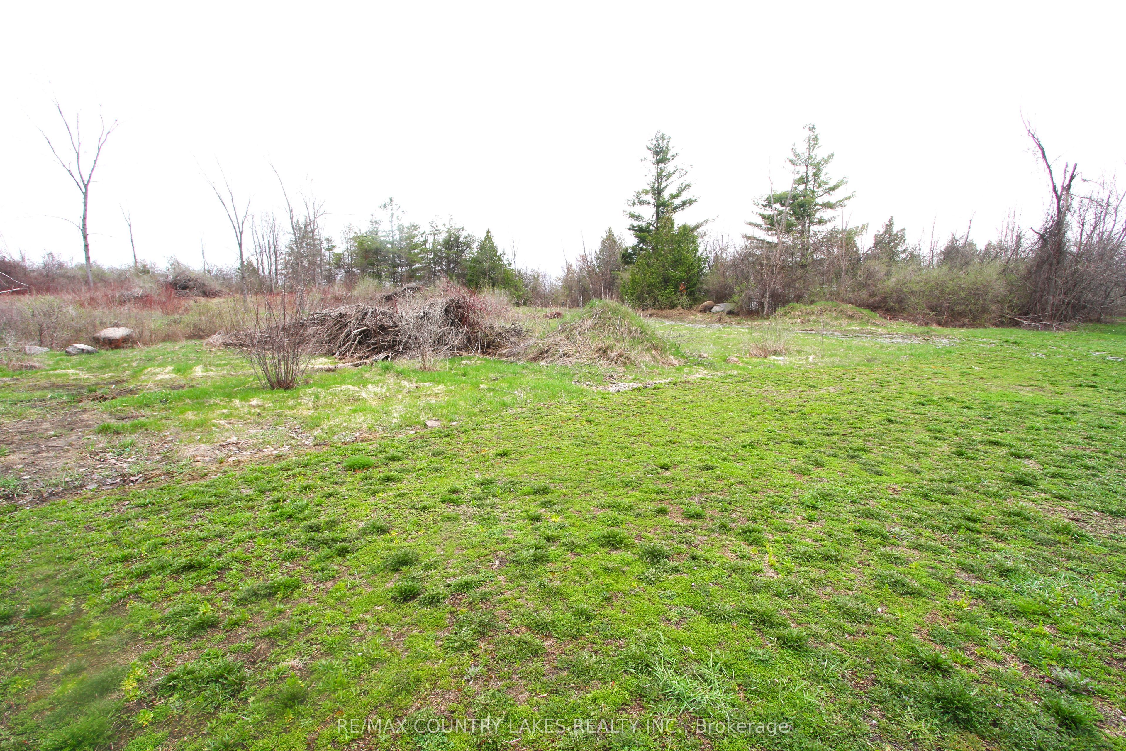 Additional image 6 of Lt 2 Redcap Beach Lane, Kawartha Lakes, ON, K0M 2B0