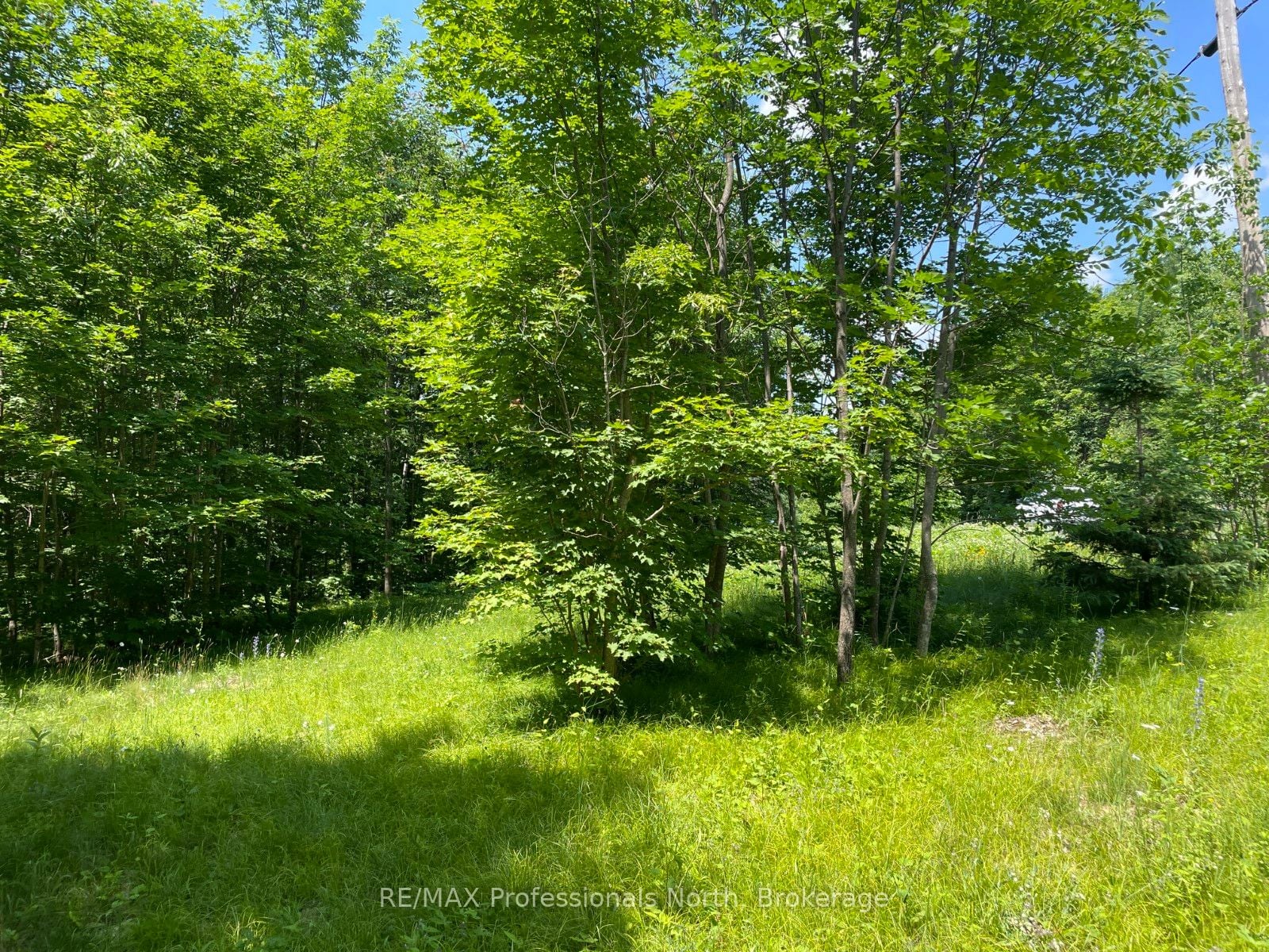 Additional image 2 of 0 Glamor Lake Road, Highlands East, ON, K0M 1R0
