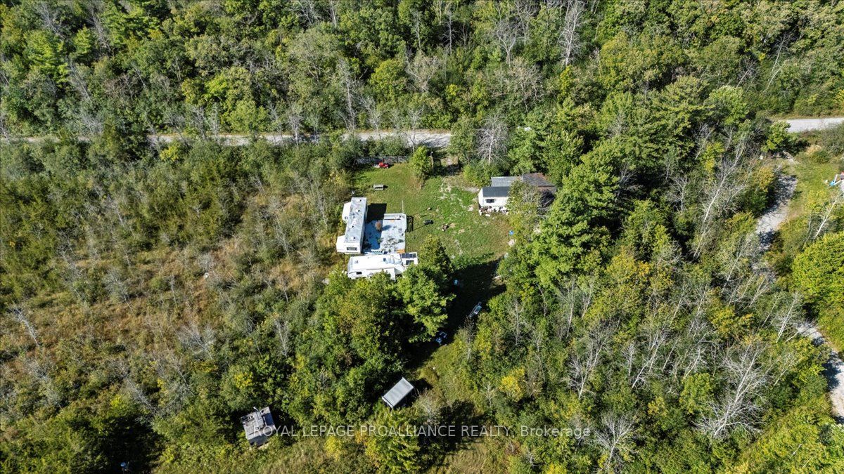 Additional image 6 of 467 Lighthall Road, Prince Edward County, ON, K0K 2P0