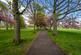Additional image 16 of 22/1 Livingstone Place, Marchmont, Edinburgh, EH9 1PD