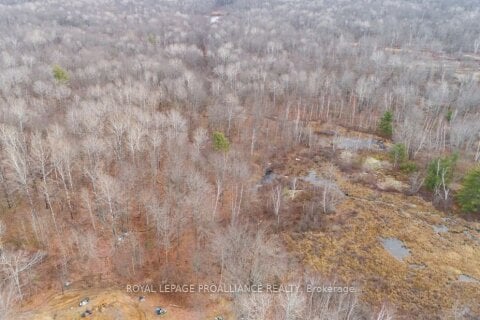 Additional image 7 of 1446 Flinton Road, Tweed, ON, K0H 1P0