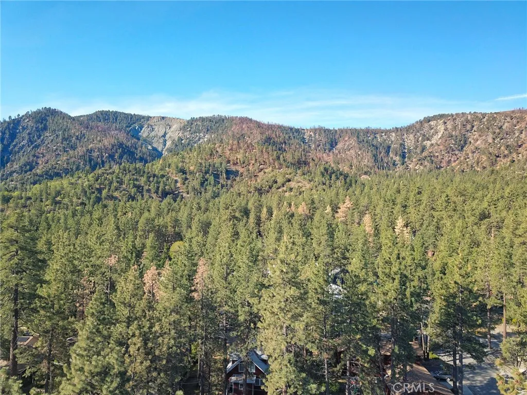 Additional image 34 of 1219 Irene St, Wrightwood, CA 92397
