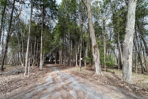 Additional image 8 of 14900 Regional Rd 57 N/a, Scugog, ON, L0B 1B0