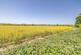 Additional image 21 of Blooden, Adisham, Canterbury, Kent, CT3