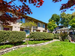 Additional image 2 of 2511 Grove Way, Castro Valley, CA, 94546