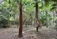 Additional image 8 of St Leonards Way, Ashley Heath, BH24 2HS