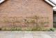 Additional image 37 of Hermitage Wood Road, Cheswick Village