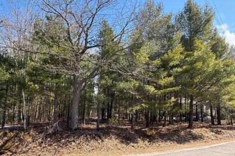 Additional image 8 of 137 Nicole Boulevard, Tiny, ON, L0L 2T0