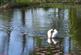 Additional image 33 of Loxhill, Godalming, Surrey GU8