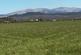 Additional image 10 of Newton Stewart DG8