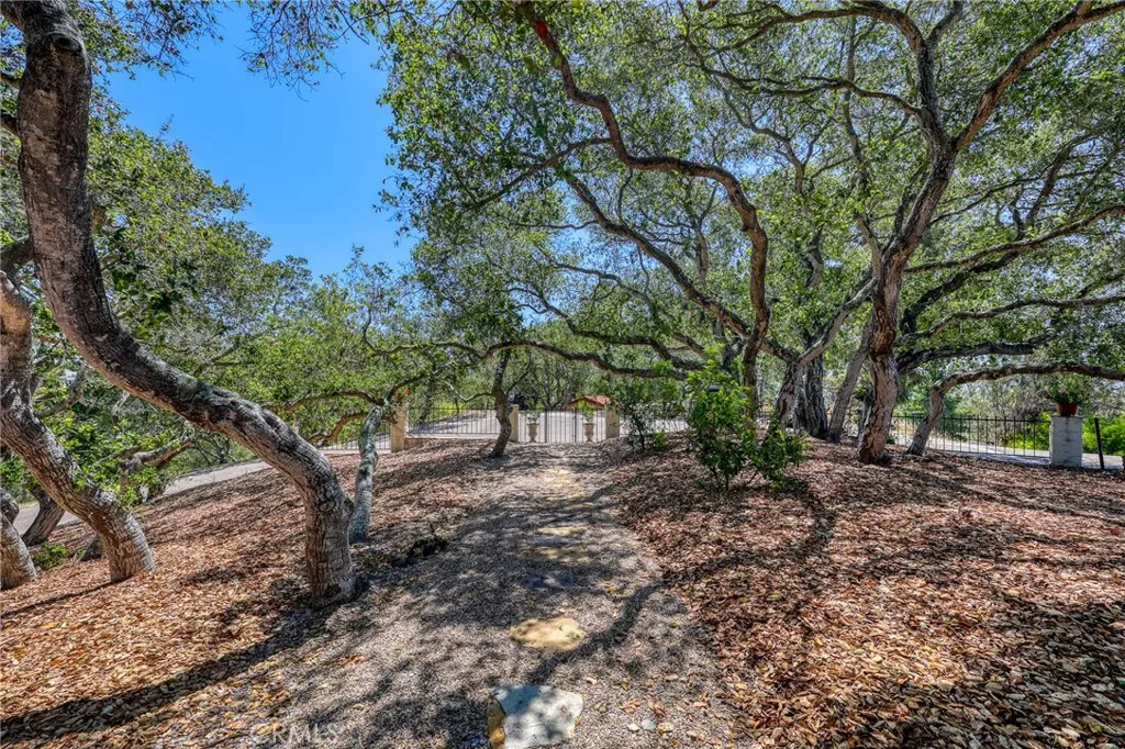 Additional image 102 of 960 Buck Ridge Lane, Arroyo Grande, CA 93420