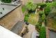 Additional image 21 of Halliford Street, London, N1