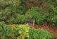 Additional image 17 of Pencarreg, Llanybydder, SA40