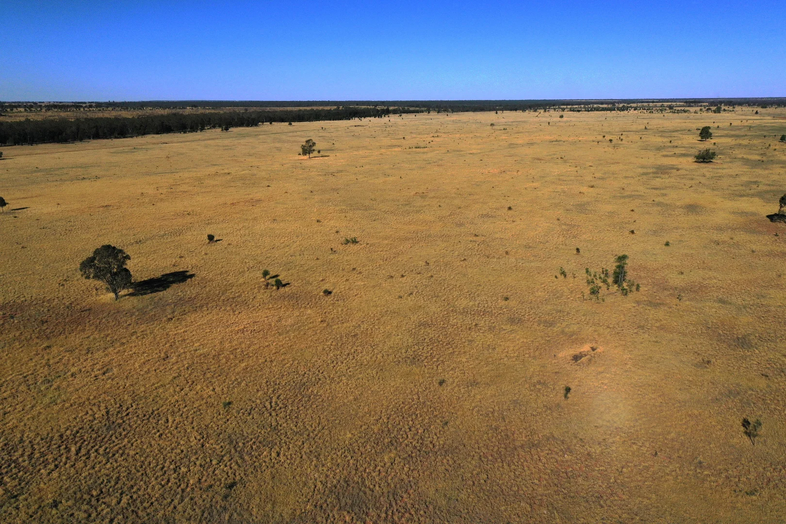 Additional image 9 of Roma QLD 4455