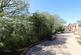 Additional image 17 of Piedmontese Gardens, Whitehouse, MK8