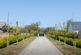 Route De La Mare, Castel, Guernsey photo 5