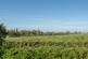 Additional image 11 of West View, Queen Camel, Yeovil, Somerset, BA22