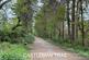 Additional image 26 of Forest Edge Close, Ashley Heath, BH24 2DZ