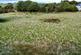 Additional image 4 of Rhydrosser, Llanrhystud