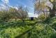 Additional image 45 of Seaview, Isle of Wight