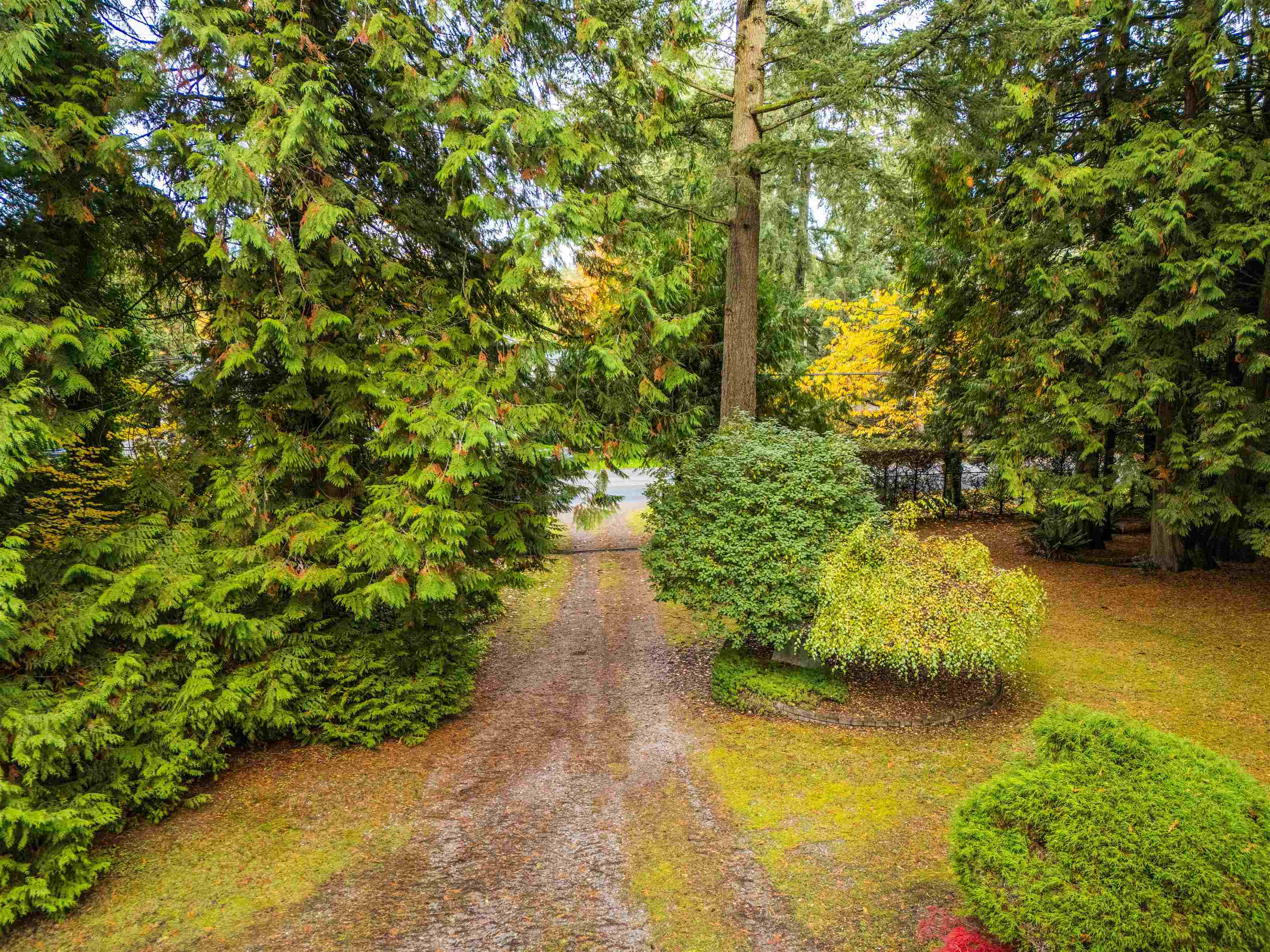 Additional image 6 of 13915 27 Avenue, Surrey, BC, V4P 1T4