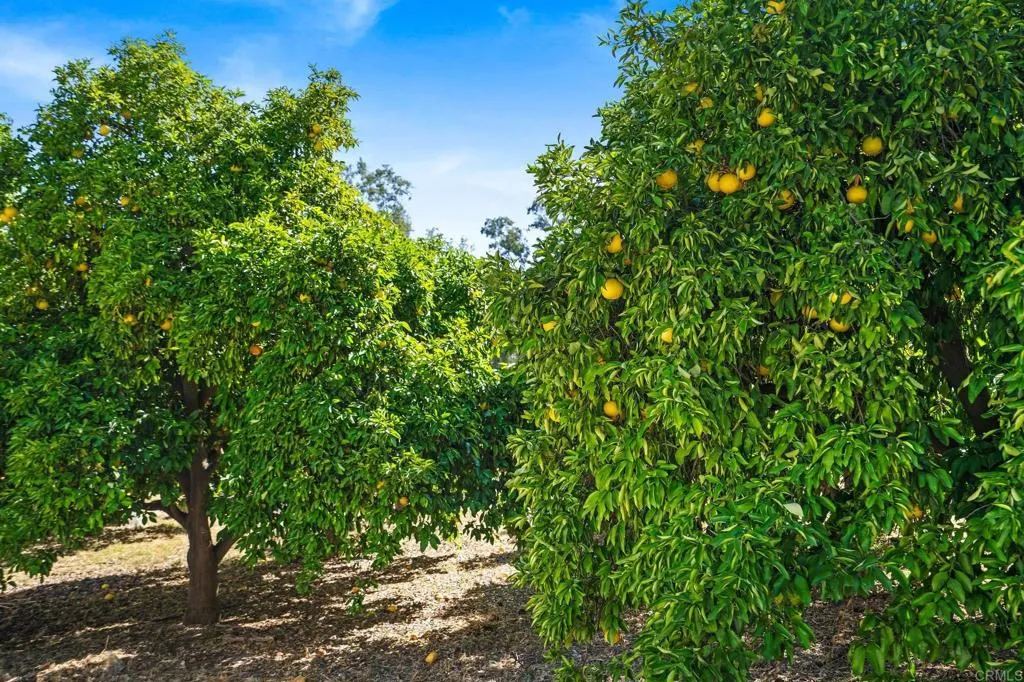Additional image 77 of 13511 Hilldale Road, Valley Center, CA 92082