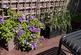 Additional image 20 of Collingbourne Road, London, W12