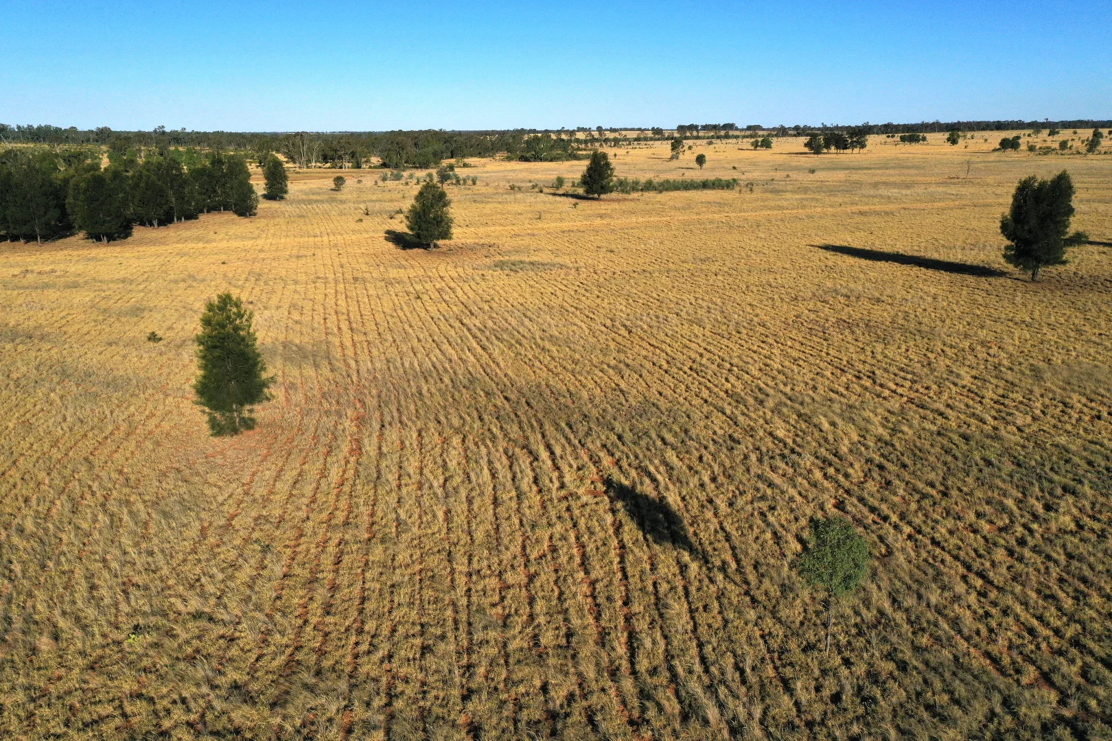 Additional image 11 of Roma QLD 4455