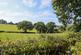 Additional image 13 of Netherfield Road, Battle, TN33