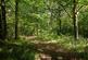 Additional image 24 of High Street Green, Chiddingfold, Godalming, Surrey, GU8