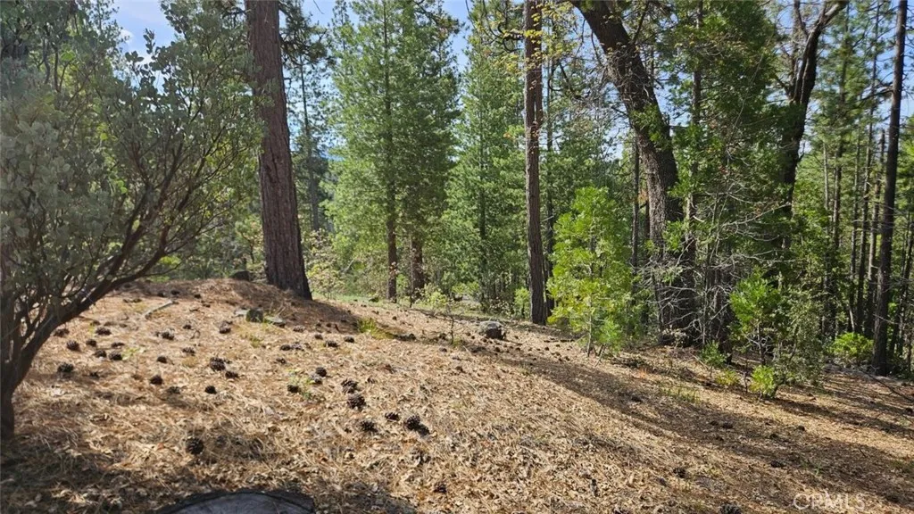 Additional image 68 of 46336 Silvertip Way, North Fork, CA 93643