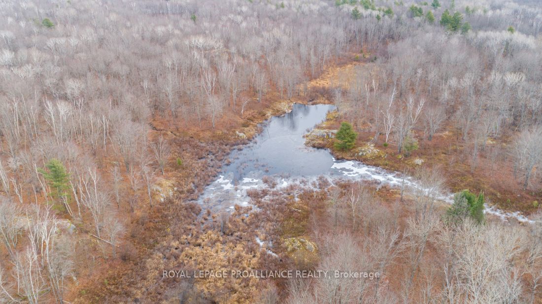 Additional image 6 of 1446 Flinton Road, Tweed, ON, K0H 1P0
