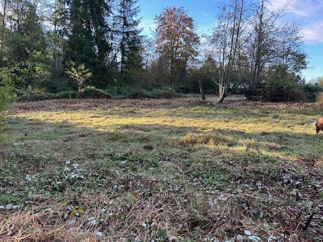 Additional image 5 of 11693 246 Street, Maple Ridge, BC, V4R 1K7