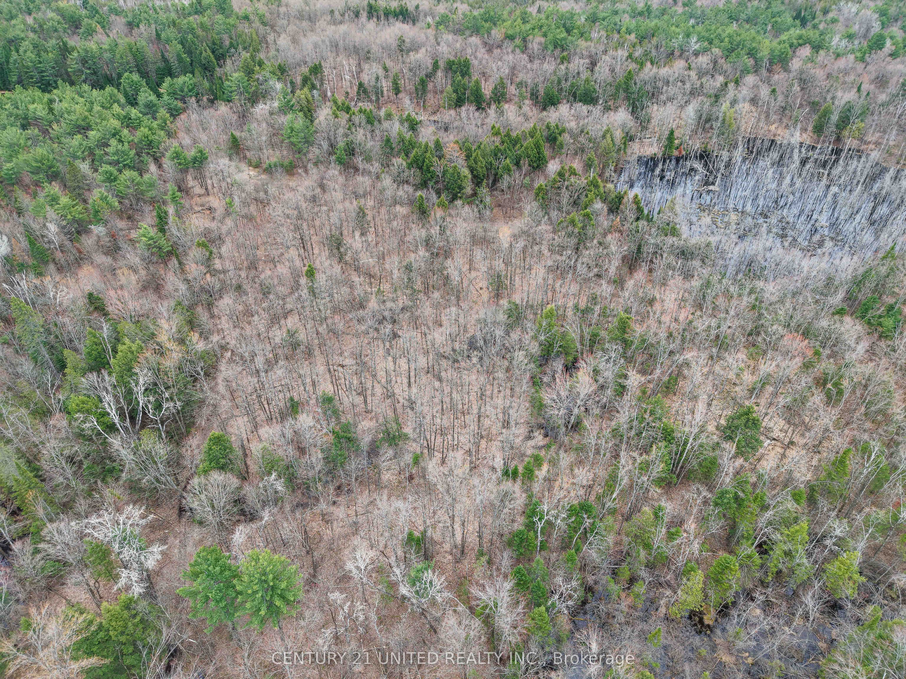 Additional image 5 of 9559 Hwy 28 N/a, North Kawartha, ON, K0L 1A0