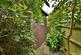 Additional image 13 of Links Drive, Bexhill-on-Sea, TN40