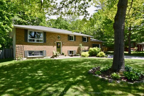 Additional image 7 of 3861 East Street, Innisfil, ON, L9S 2L9