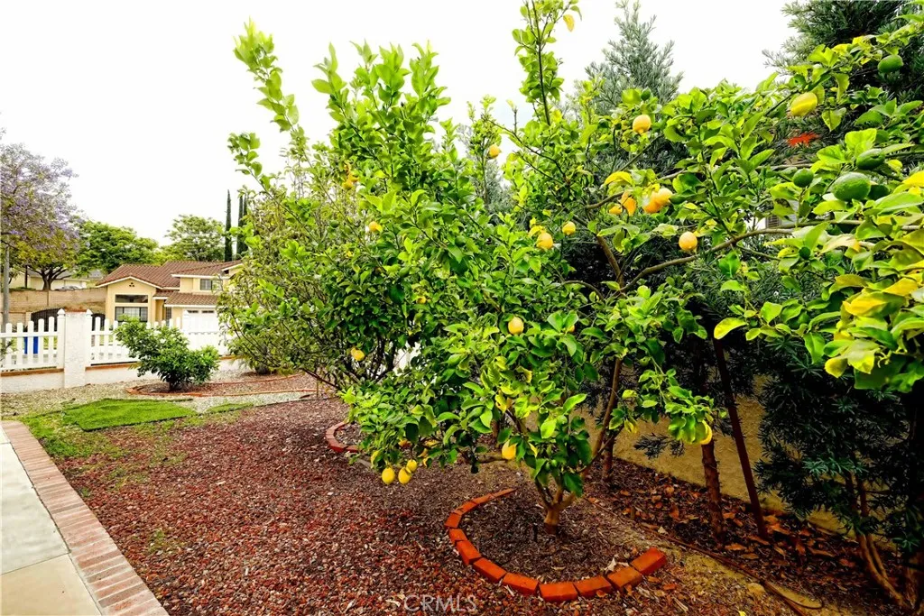 Additional image 50 of 24229 Barker Drive, Diamond Bar, CA 91765
