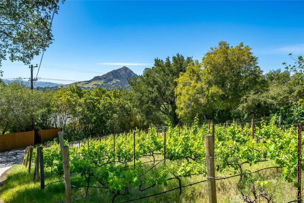 Additional image 103 of 161 Longview Lane, San Luis Obispo, CA 93405