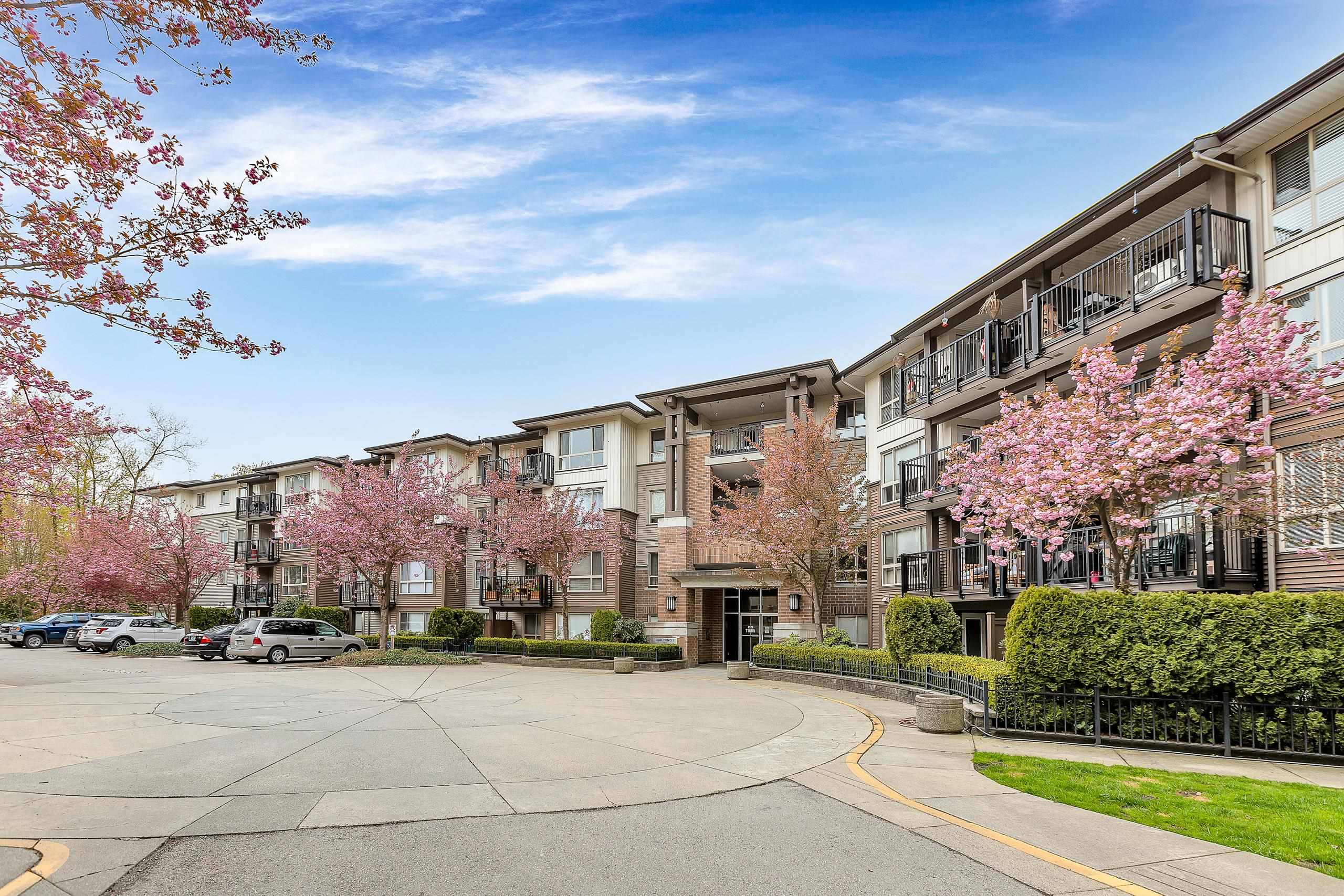 116-11665 Haney Bypass, Maple Ridge, BC, V2X 8W9