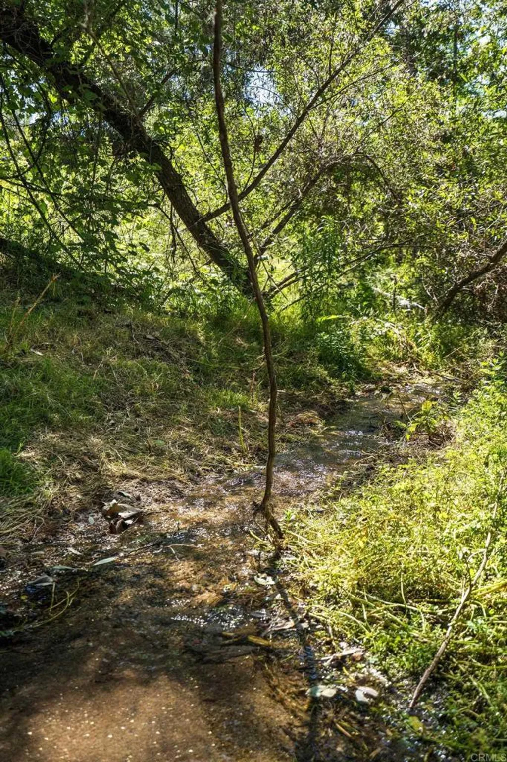 Additional image 22 of 13511 Hilldale Road, Valley Center, CA 92082