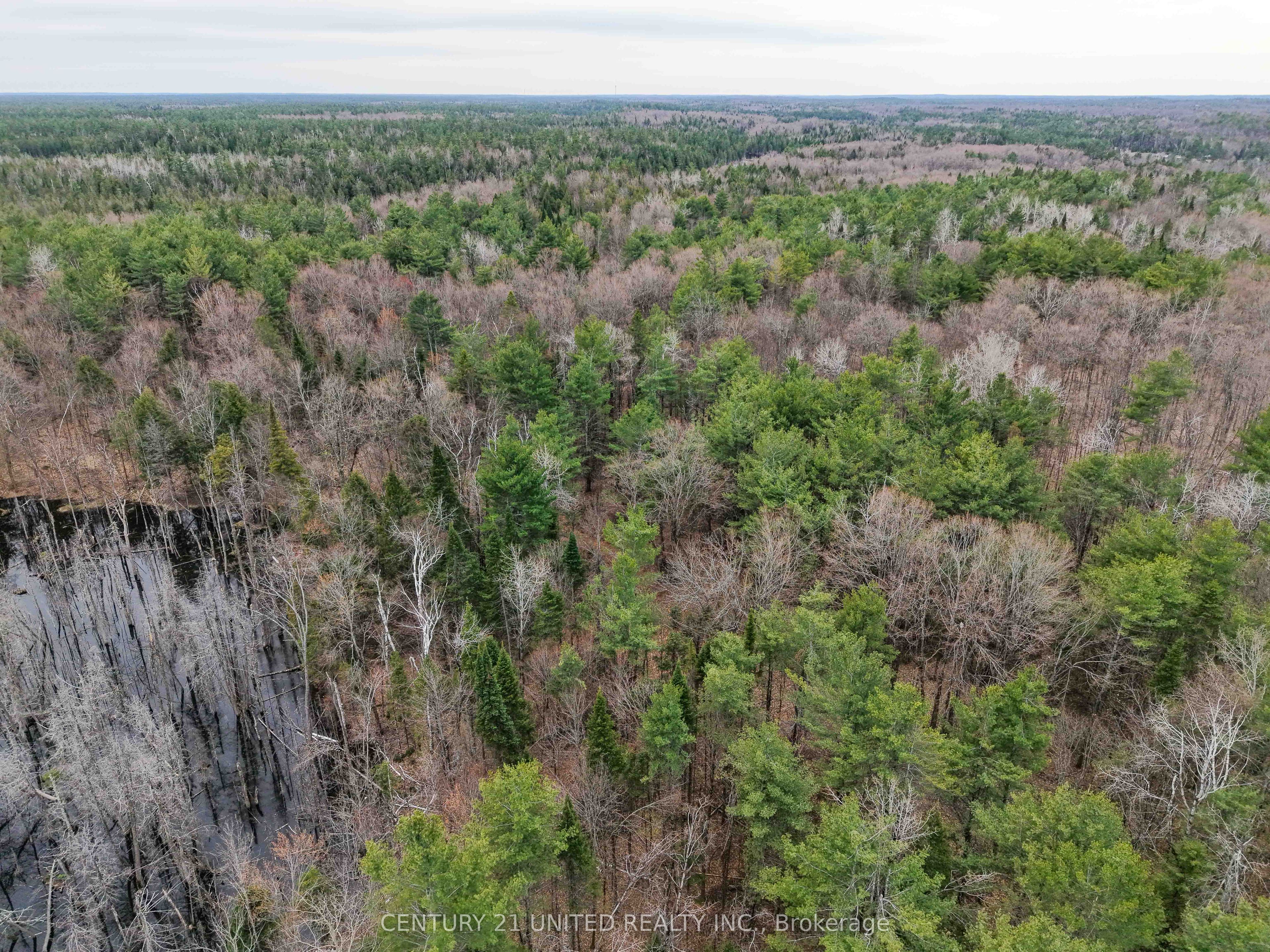 Additional image 6 of 9559 Hwy 28 N/a, North Kawartha, ON, K0L 1A0