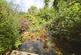 Additional image 10 of Cuckmere Rise, Heathfield, East Sussex, TN21