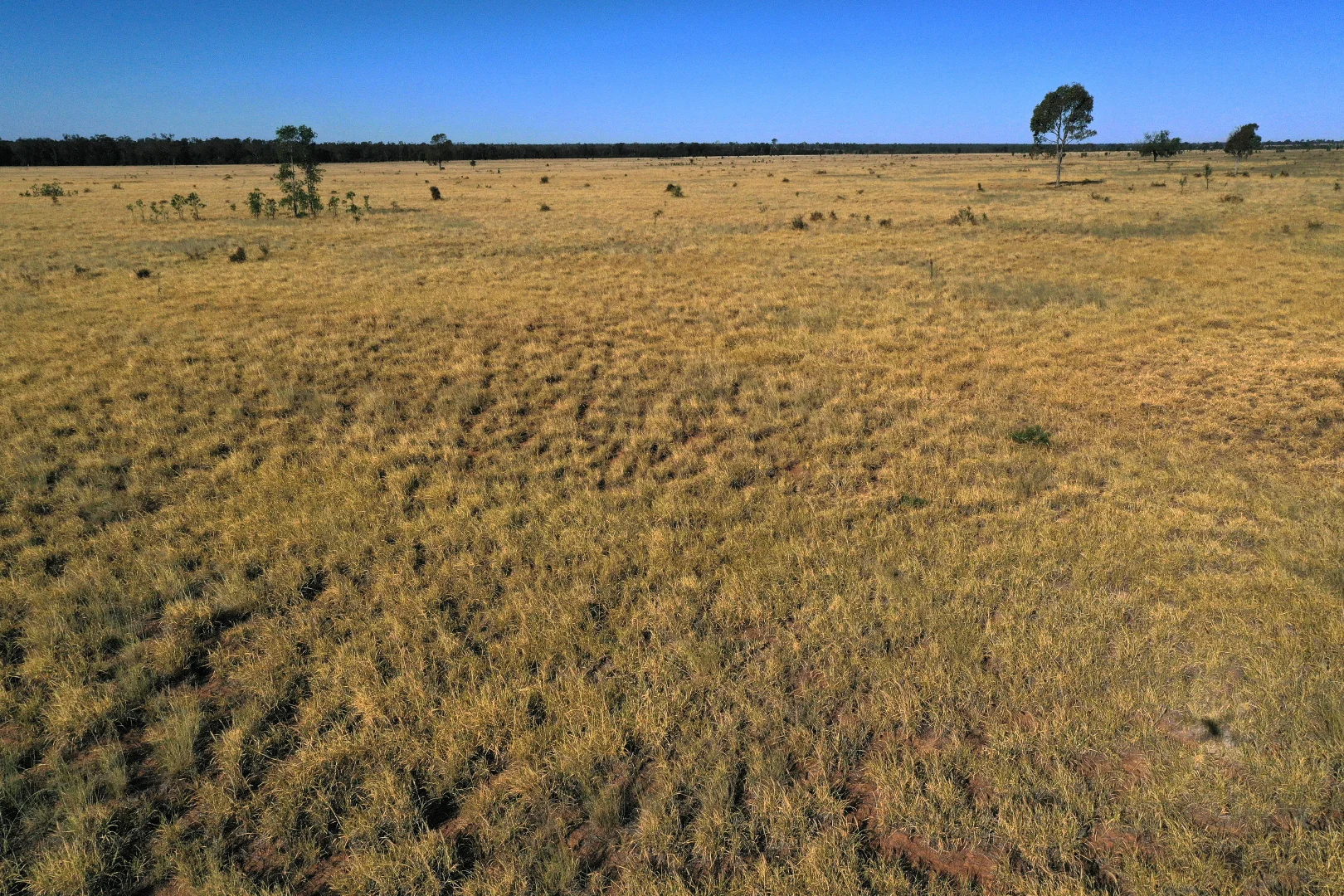 Additional image 5 of Roma QLD 4455