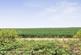 Additional image 18 of King Edward Road, Birchington, CT7