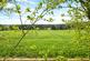 Additional image 7 of Chadwick Avenue, Milton, Abingdon