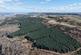 Additional image 4 of Ayton  Hill Forest, Near Aberargie, Perthshire PH2