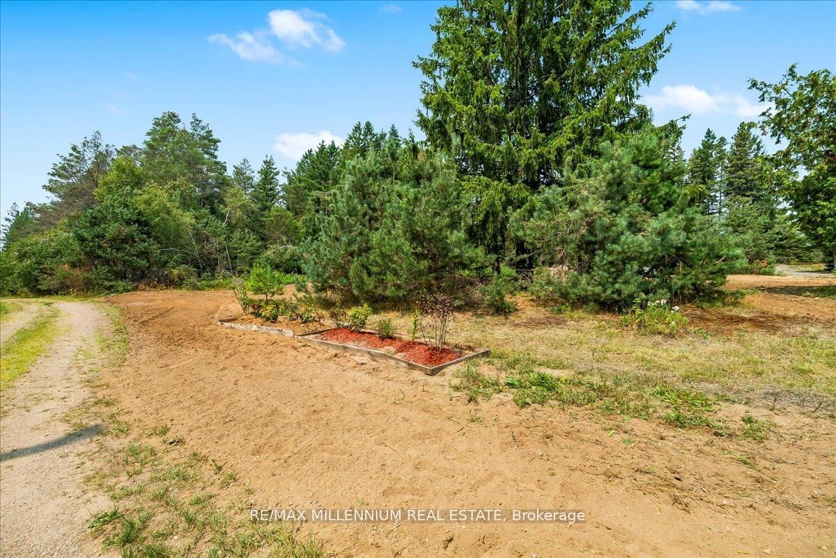 Additional image 5 of 3529 Highway 118 N/a E, Bracebridge, ON, P1L 1X1