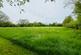 Additional image 42 of Llangeitho, Tregaron, SY25